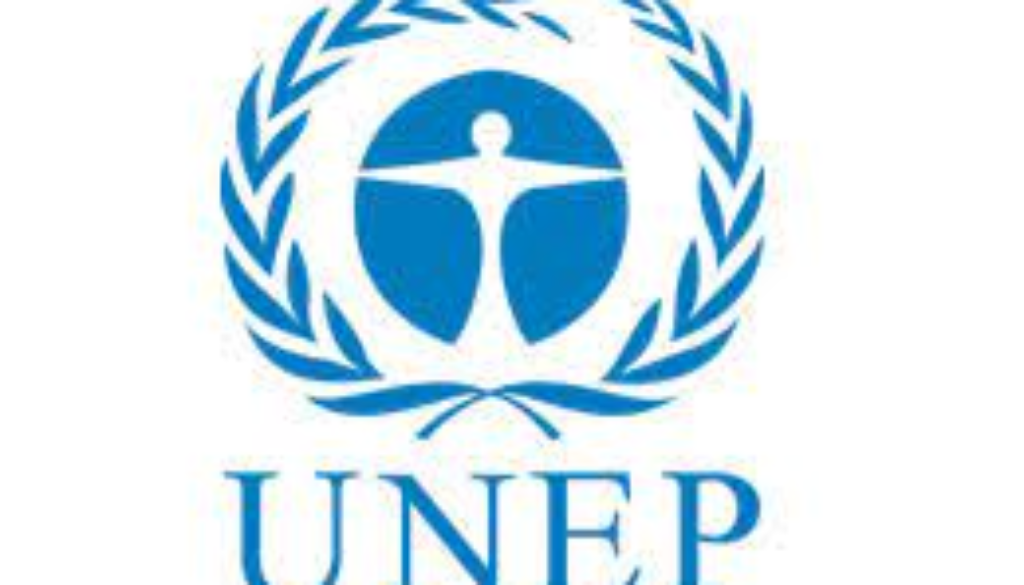 Environmental Data Consultant Vacancy Job Ref: VACUNEP5708-18